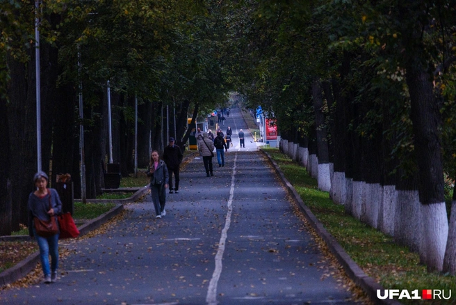Источник: Булат Салихов / UFA1.RU