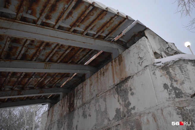 Источник: Анастасия Баринова / 56.RU