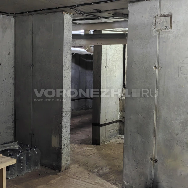 …главное не заблудиться в них | Источник: Андрей Пашинский / Voronezh1.ru