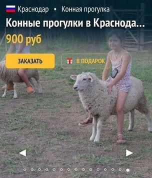 14 самых смешных картинок недели и «эвакуационный крокодил»