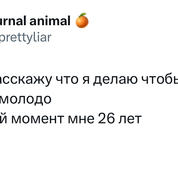Источник: X (Twitter)