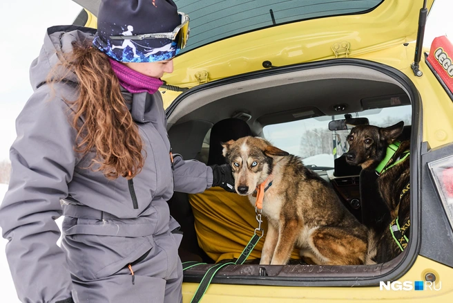 Победителям вручат грамоты и медали | Источник: Александр Ощепков / NGS.RU