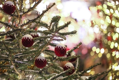 Сильный ветер повалил новогоднюю елку в Бийске