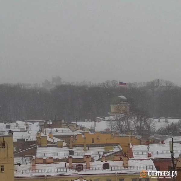 Источник: видовые камеры «Фонтанки»