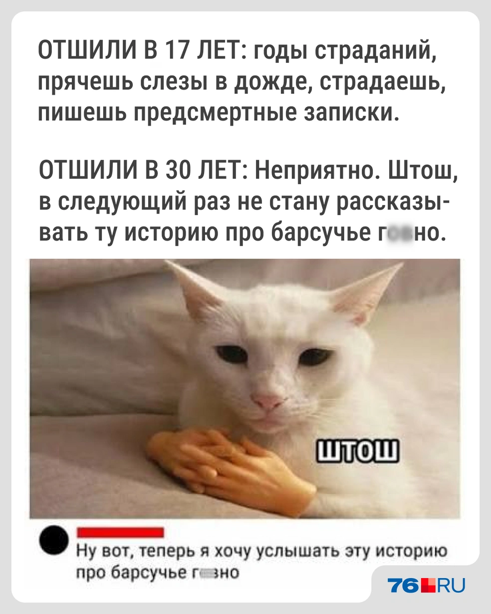 Что ж там за история | Источник: Городские медиа