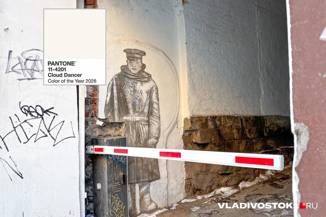 Источник: Елена Буйвол / VLADIVOSTOK1.RU