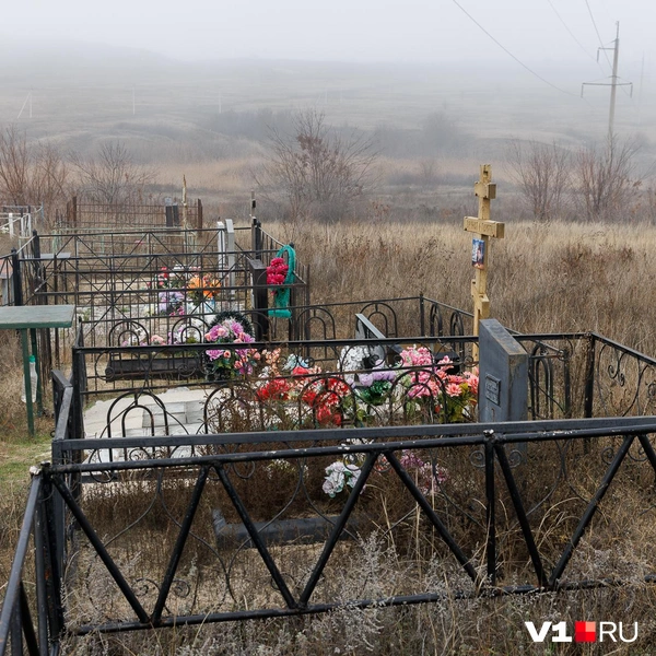 Но в целом кладбище нельзя назвать заброшенным | Источник: Алексей Волхонский / V1.RU