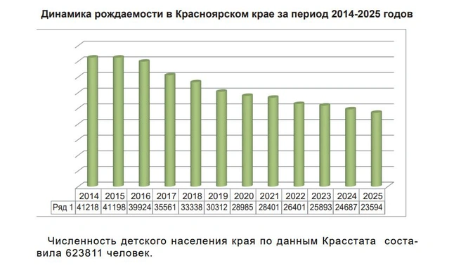 Снижение рождаемости видно на графике | Источник: Доклад «О соблюдении прав и законных интересов детей в Красноярском крае в 2025 году» / сайт уполномоченного по правам человека в Красноярском крае