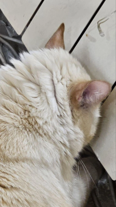 Понимаем тебя, дружище | Источник: читатель NGS24.RU Александр