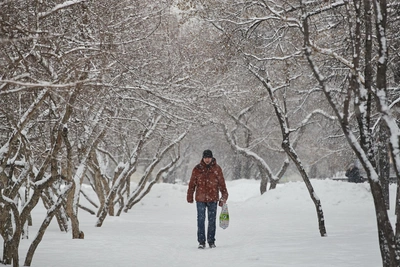 Синоптик сообщила о снеге в Саратове с 10 декабря