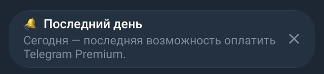 Источник: скриншот из мессенджера Telegram