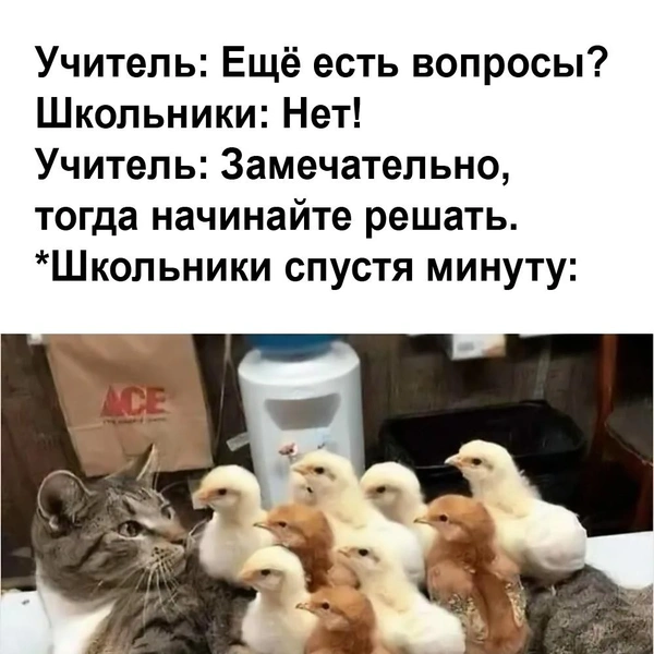 Источник: соцсети