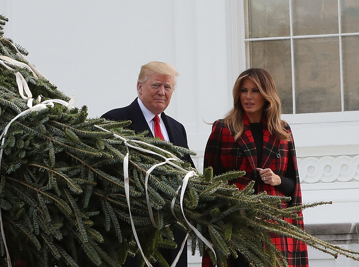 В дом Дональда и Мелании Трамп пришло Рождество (и семейная идиллия)