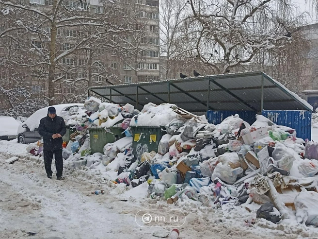 На улице Акимова отходы распространились за границы контейнерной площадки. | Источник: читатель NN.RU