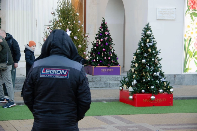 Охранник охраняет игрушки на новогодних елках  | Источник: Оксана Витязь / SOCHI1.RU