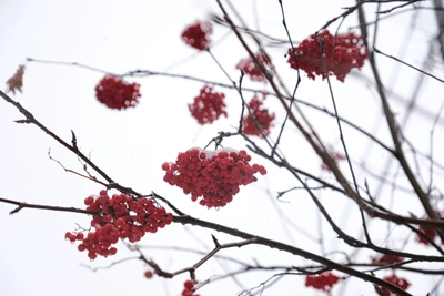 Метеоролог — о поздней и малоснежной зиме в Прикамье