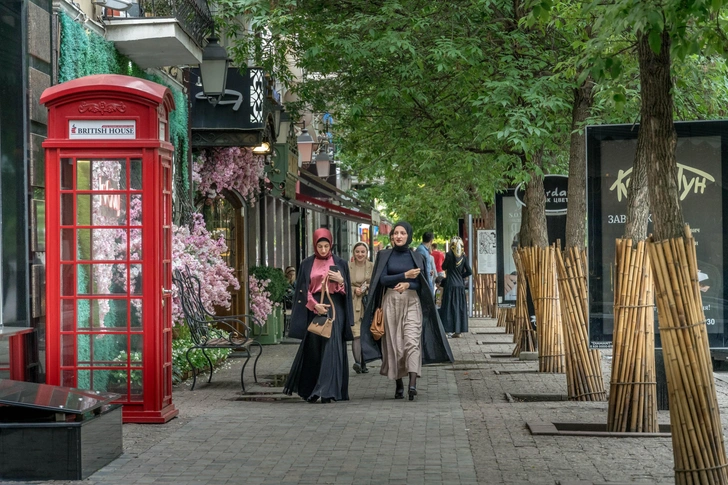 На улицах Грозного, 2021 | Источник: artaxerxes_longhand / Shutterstock.com