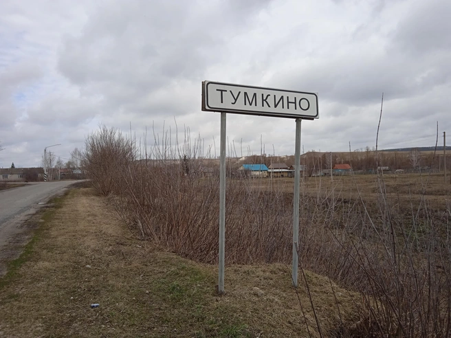 Расследование убийства 13-летней жительницы Тереньгульского района продолжается | Источник: Дмитрий Сильнов / 173. RU