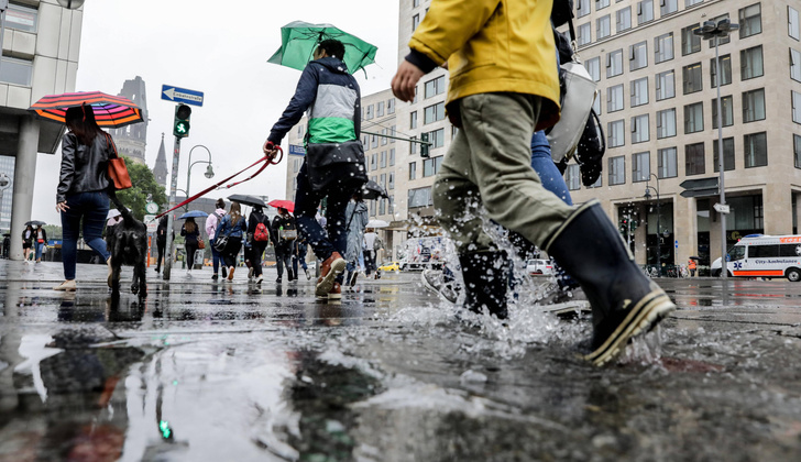 Дождь против простуды: как лужи на улицах помогают нам не слечь с температурой