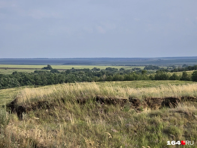 Вид с карьера у села Карякино | Источник: Семен Коротов-Майбах / 164.RU