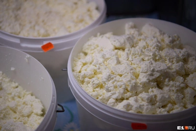 Doctors Explain When to Avoid Cottage Cheese