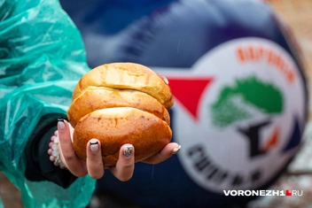 Источник: Дмитрий Волгин / Voronezh1.ru