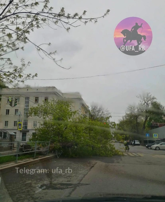 Вырвало с корнем | Источник: Ufa_rb / Telegram