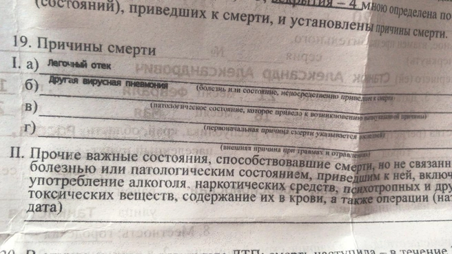 Вот что указано в свидетельстве о смерти Алексея Алексеевича | Источник: предоставлено Елизаветой