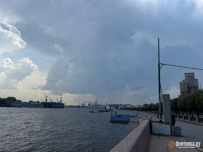 В Петербурге гроза, в области — град. Погода в субботу немного испортилась | Источник: Валентин Егоршин / «Фонтанка.ру»