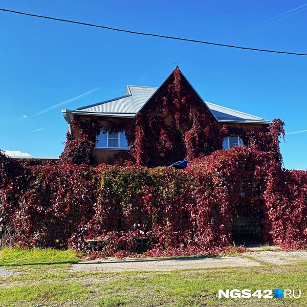 Источник: Елизавета Богатырева / NGS42.RU