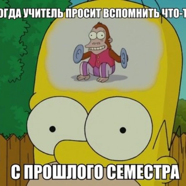 мемы о школе | Источник: Социальные сети