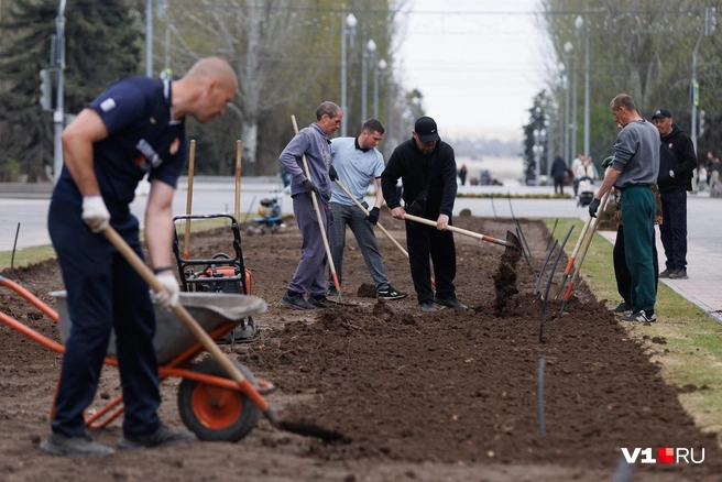 Из средств механизации — только виброплита. Остальное вручную | Источник: Алексей Волхонский / V1.RU