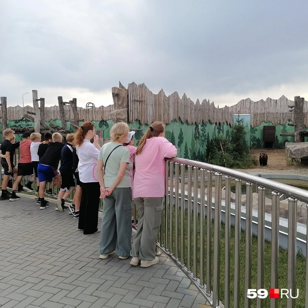 Тоша, кажется, самый популярный в зоопарке. Посмотрите, сколько пермяков пришло на него посмотреть | Источник: читатель 59.RU