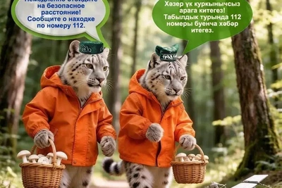 МЧС объяснило на барсиках опасность обломков дронов