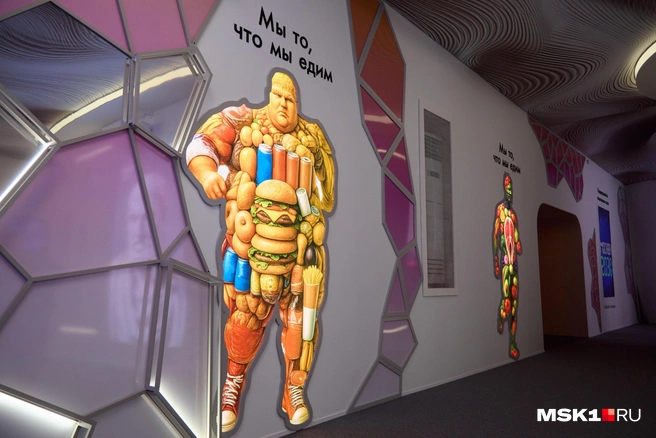 «Смертельный квартет» в действии. Врач рассказал, когда жир на талии становится опасным