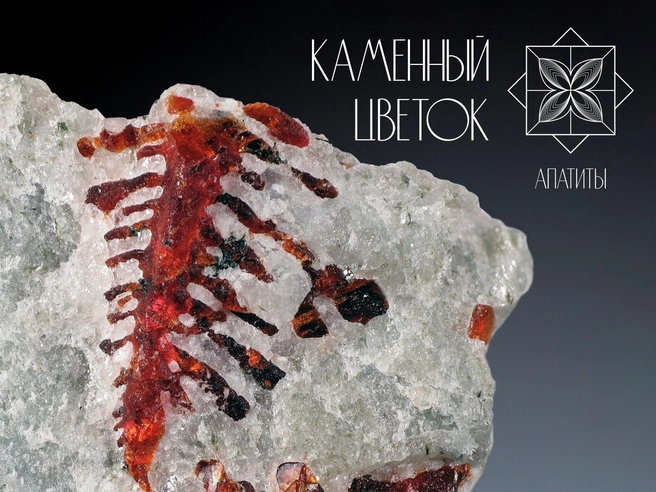 Виллиомит из Ловозерских тундр выглядит словно застывшее северное пламя, заключенное в камень. | Источник: «Каменный цветок» / vk.com
