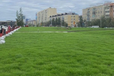 Якутск запускает масштабный проект озеленения