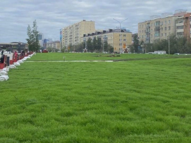 Мэр регулярно публиковал у себя в соцсетях состояние нового газона | Источник: Евгений Григорьев / T.me