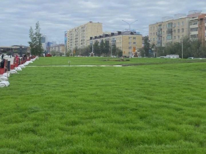 Мэрия хочет озеленить город | Источник: Евгений Григорьев / T.me