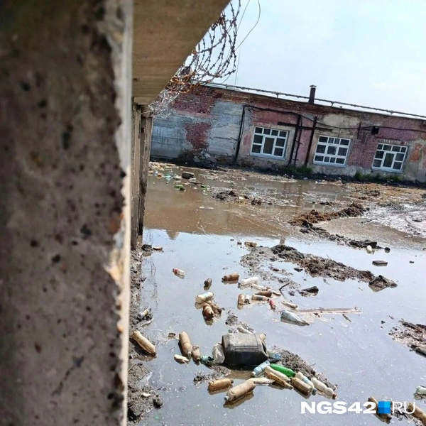 Источник: Полина Чернядьева / NGS42.RU