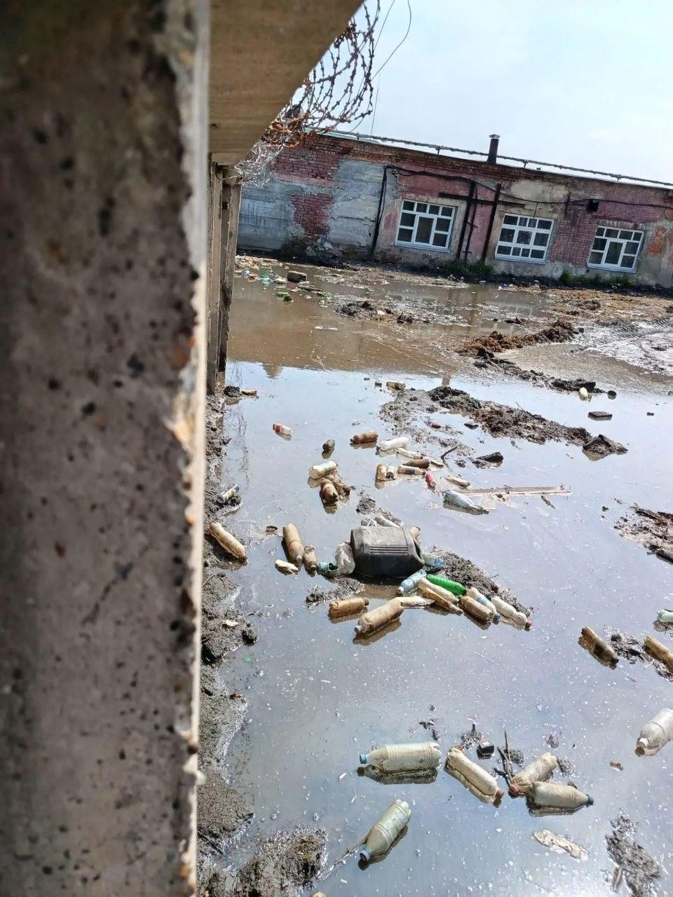Плесень, личинки и воды по пояс. Репортаж с пяти улиц Кемерова, где жители борются за чистую воду и…