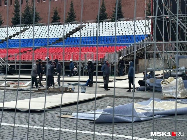 Источник: Анастасия Цветкова / MSK1.RU