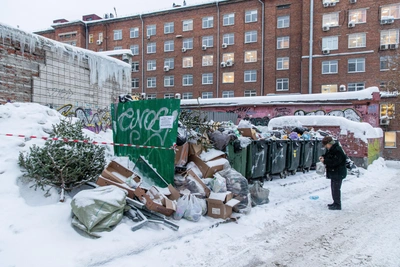 Новогодние елки в Новосибирске можно сдать на переработку