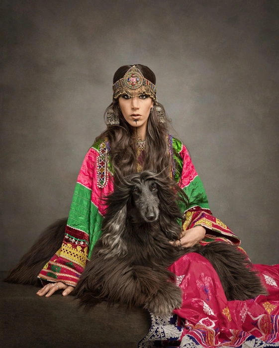 Источник: Sandra Ferwerda / Dog Photography Awards — 2023