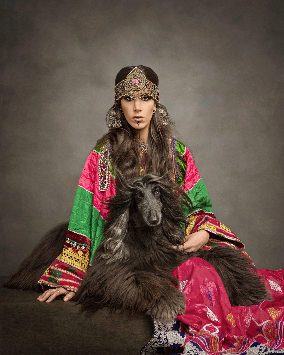 Источник: Sandra Ferwerda / Dog Photography Awards&nbsp;— 2023