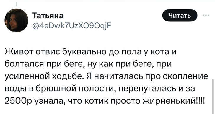 В «Твиттере» делятся тупыми причинами, по которым возили животных в ветеринарные клиники. И это уморительно!