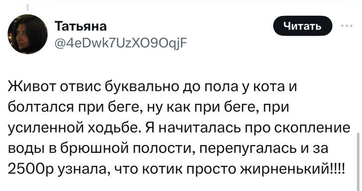 В «Твиттере» делятся тупыми причинами, по которым возили животных в ветеринарные клиники. И это уморительно!