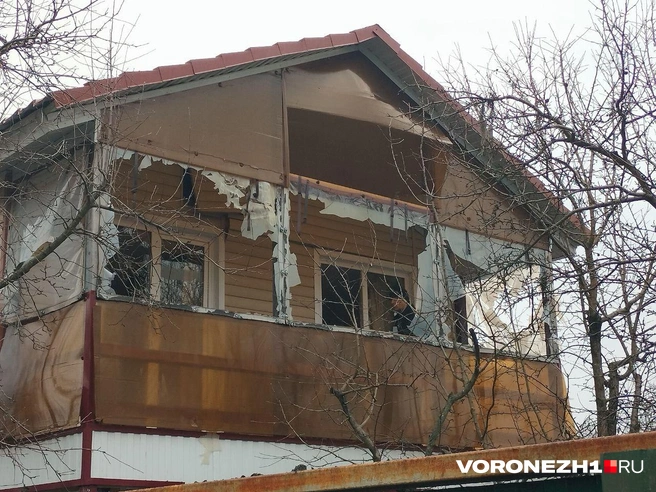 Источник: Дмитрий Волгин / Voronezh1.ru