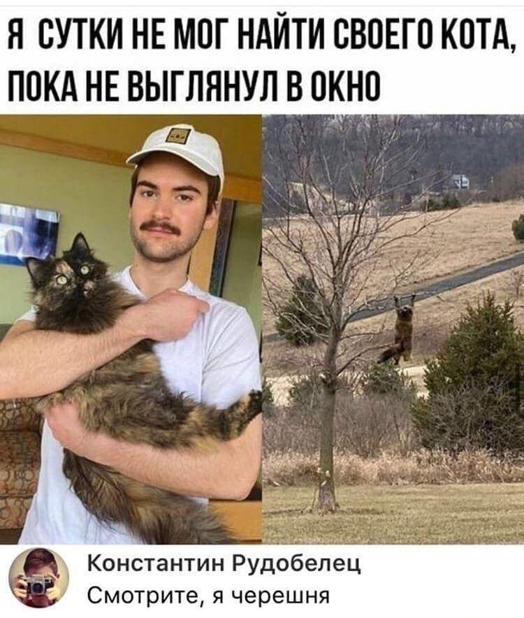 Немного о черешне :-) Здравствуйте, уважаемые, Приятного, времени, суток