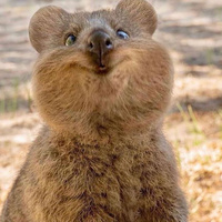 Аватарка Zaz